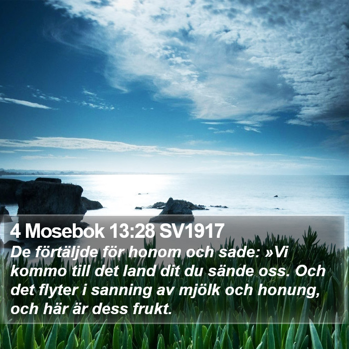 4 Mosebok 13:28 SV1917 Bible Study