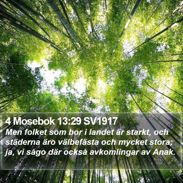 4 Mosebok 13:29 SV1917 Bible Study