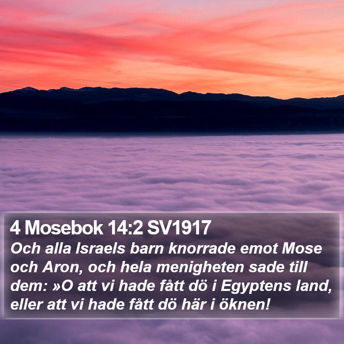 4 Mosebok 14:2 SV1917 Bible Study