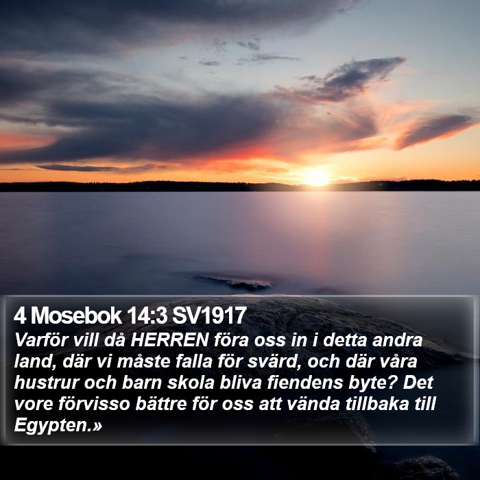 4 Mosebok 14:3 SV1917 Bible Study