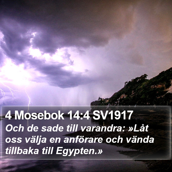 4 Mosebok 14:4 SV1917 Bible Study