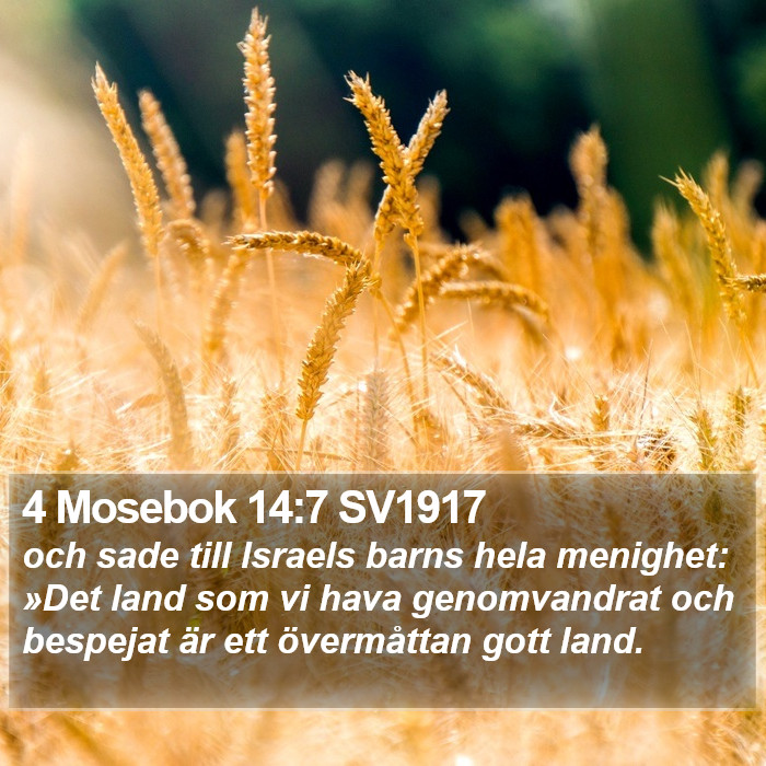 4 Mosebok 14:7 SV1917 Bible Study