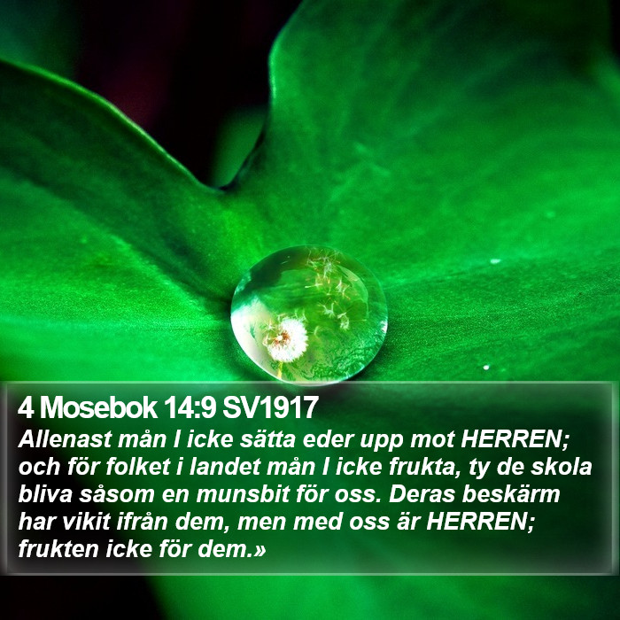 4 Mosebok 14:9 SV1917 Bible Study