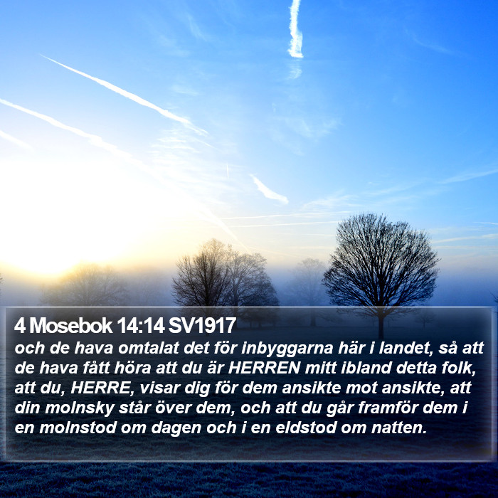 4 Mosebok 14:14 SV1917 Bible Study