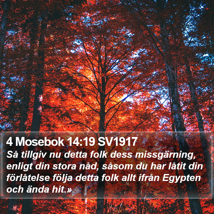 4 Mosebok 14:19 SV1917 Bible Study