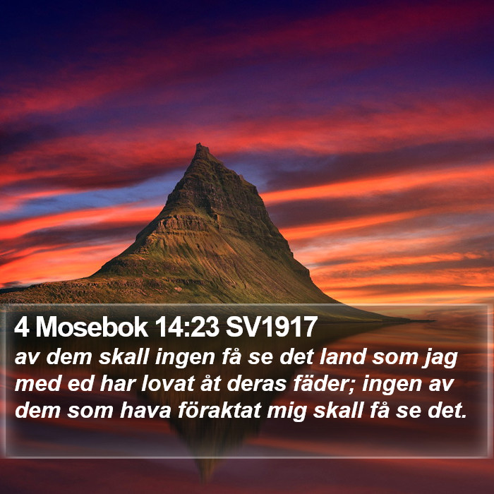 4 Mosebok 14:23 SV1917 Bible Study