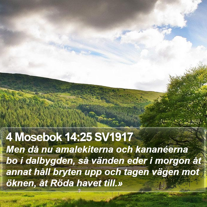 4 Mosebok 14:25 SV1917 Bible Study