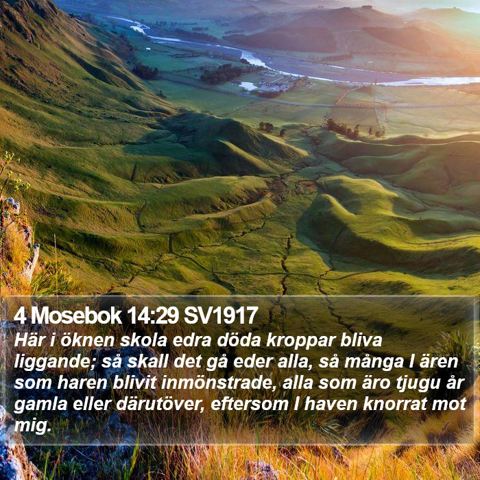 4 Mosebok 14:29 SV1917 Bible Study