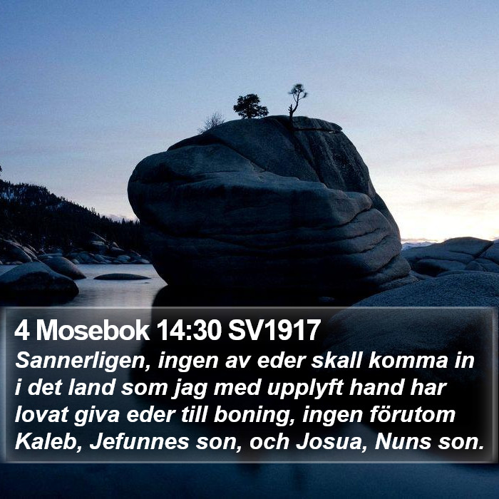 4 Mosebok 14:30 SV1917 Bible Study