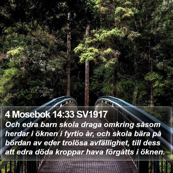 4 Mosebok 14:33 SV1917 Bible Study