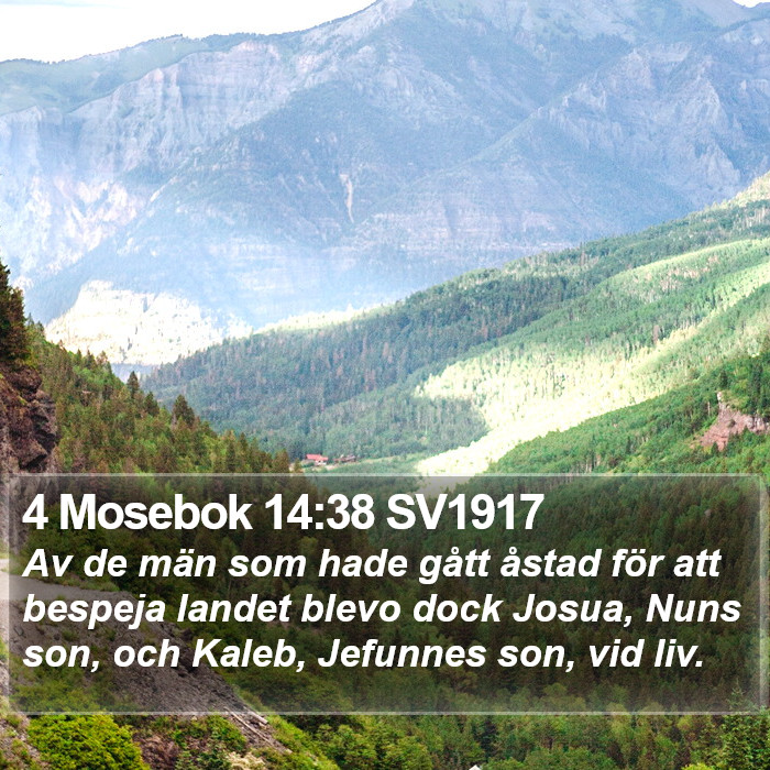 4 Mosebok 14:38 SV1917 Bible Study