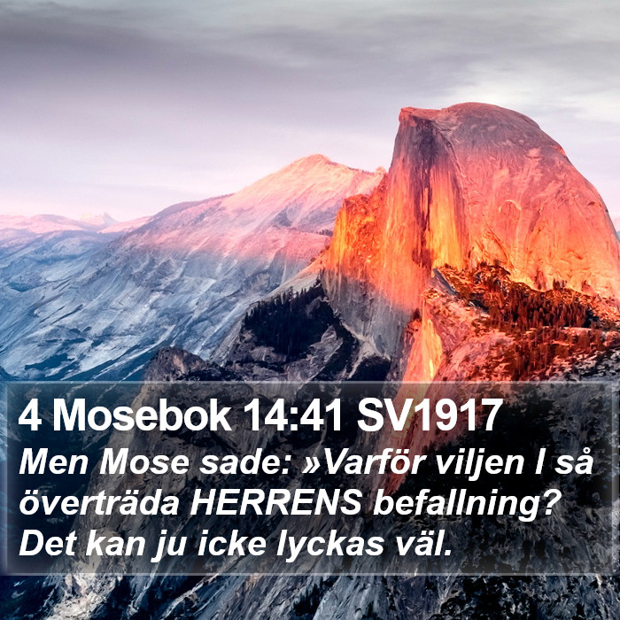 4 Mosebok 14:41 SV1917 Bible Study