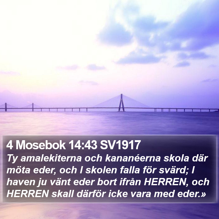 4 Mosebok 14:43 SV1917 Bible Study