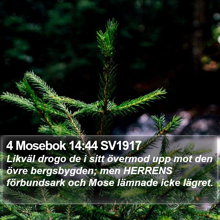 4 Mosebok 14:44 SV1917 Bible Study