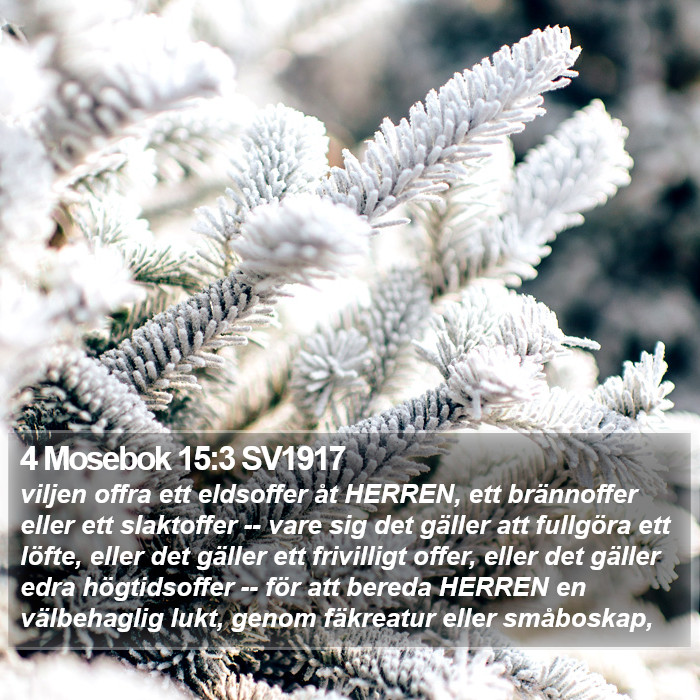 4 Mosebok 15:3 SV1917 Bible Study
