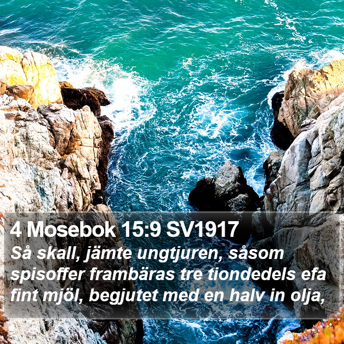 4 Mosebok 15:9 SV1917 Bible Study