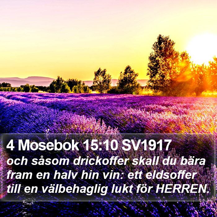 4 Mosebok 15:10 SV1917 Bible Study