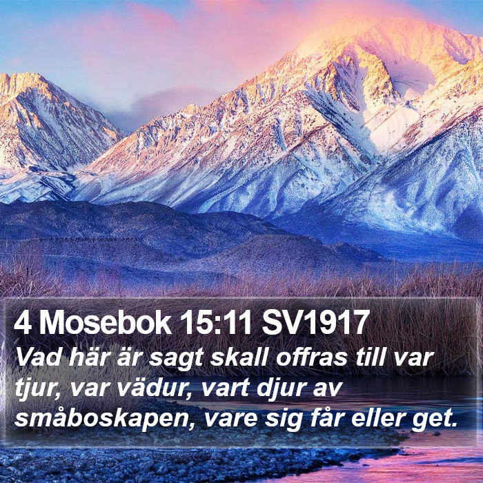 4 Mosebok 15:11 SV1917 Bible Study
