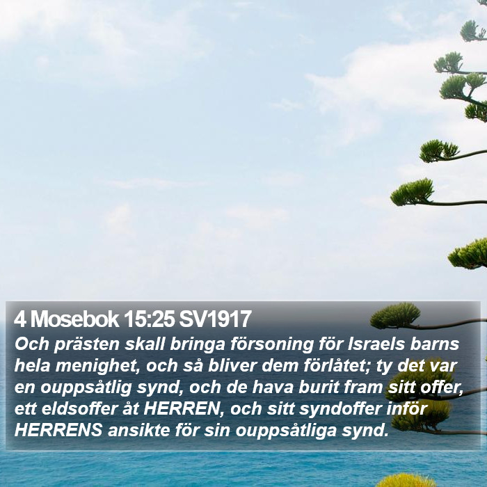 4 Mosebok 15:25 SV1917 Bible Study