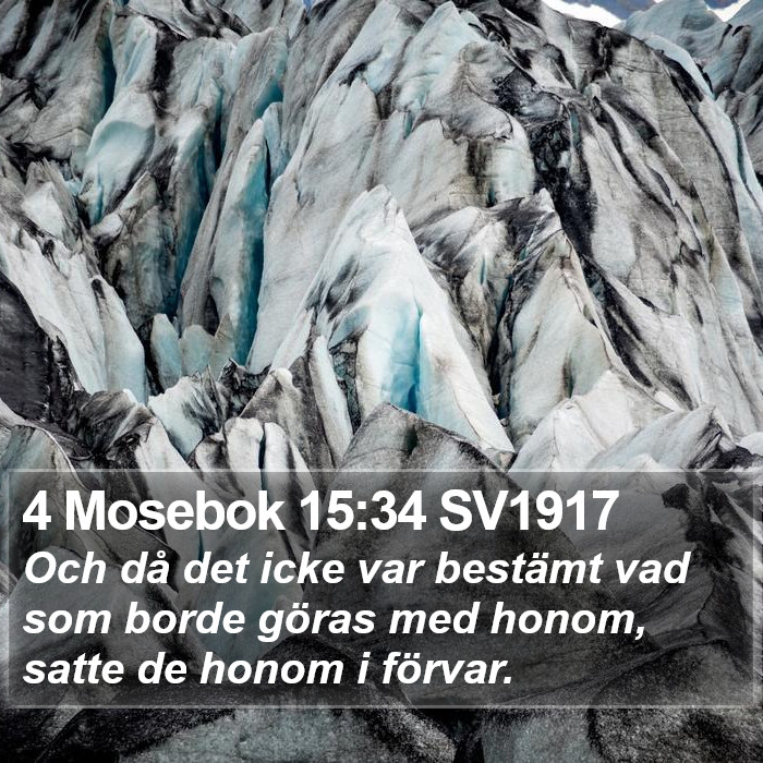 4 Mosebok 15:34 SV1917 Bible Study