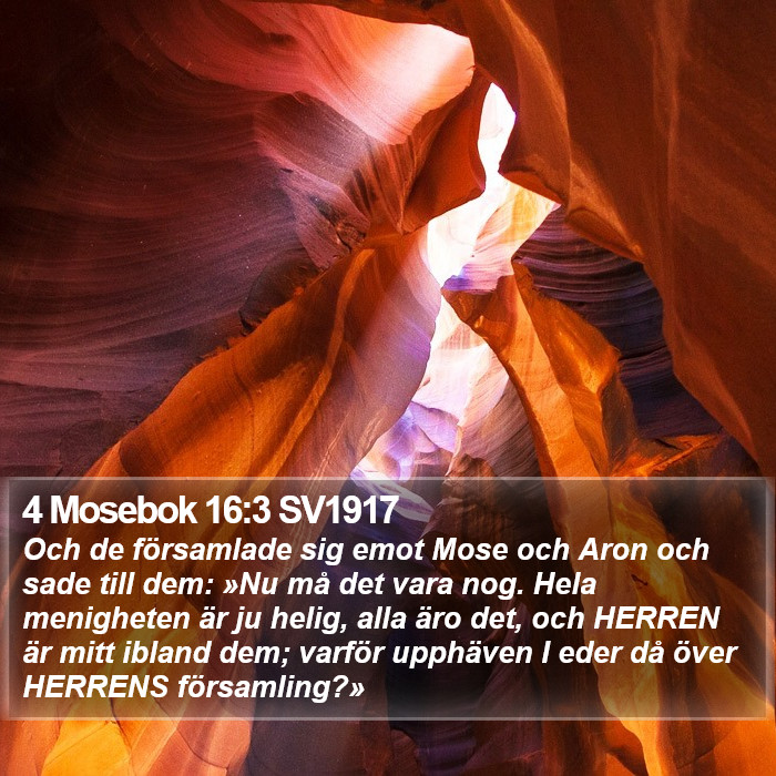 4 Mosebok 16:3 SV1917 Bible Study