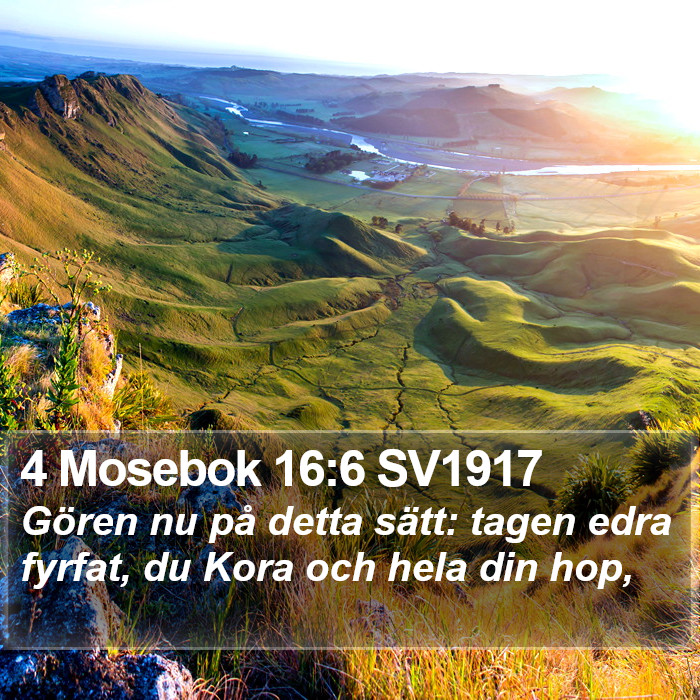 4 Mosebok 16:6 SV1917 Bible Study