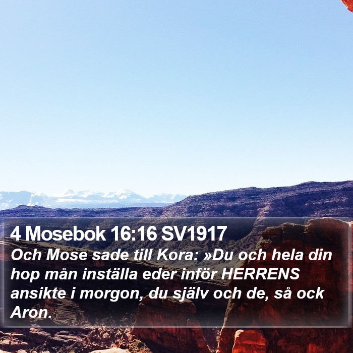 4 Mosebok 16:16 SV1917 Bible Study