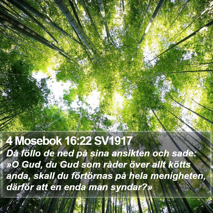 4 Mosebok 16:22 SV1917 Bible Study