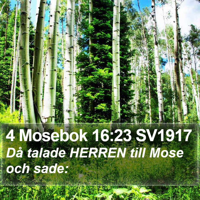 4 Mosebok 16:23 SV1917 Bible Study
