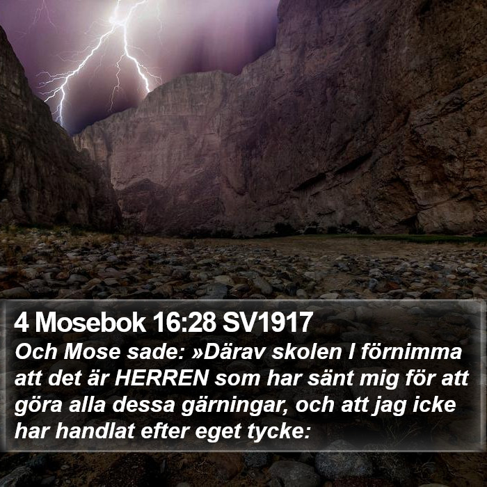 4 Mosebok 16:28 SV1917 Bible Study