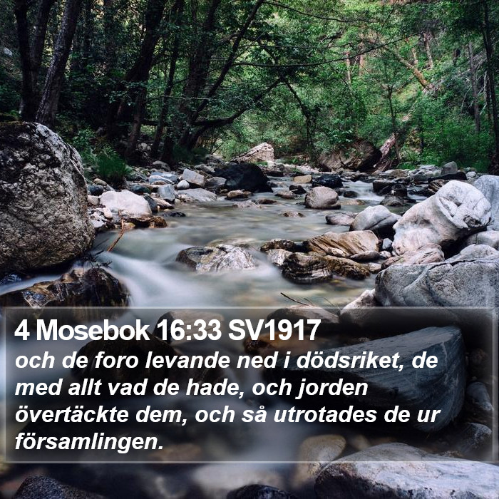 4 Mosebok 16:33 SV1917 Bible Study