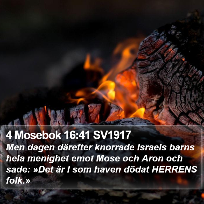 4 Mosebok 16:41 SV1917 Bible Study