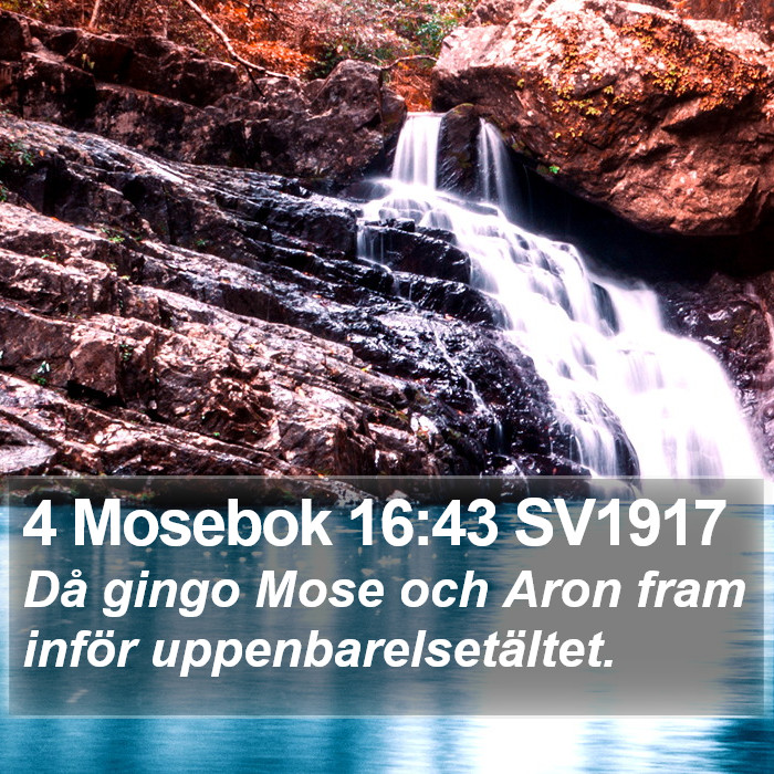 4 Mosebok 16:43 SV1917 Bible Study