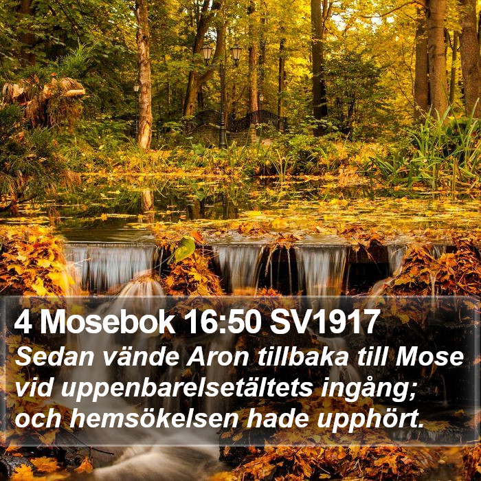 4 Mosebok 16:50 SV1917 Bible Study