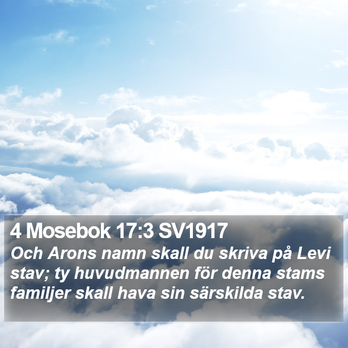 4 Mosebok 17:3 SV1917 Bible Study