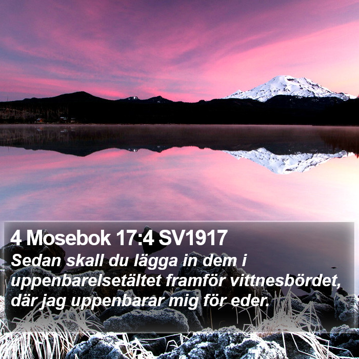 4 Mosebok 17:4 SV1917 Bible Study