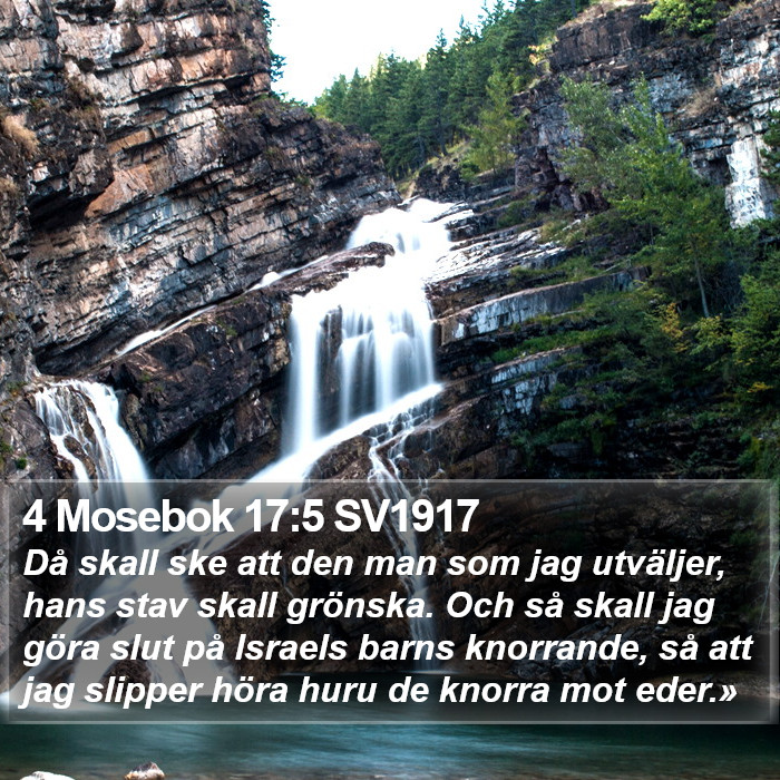 4 Mosebok 17:5 SV1917 Bible Study