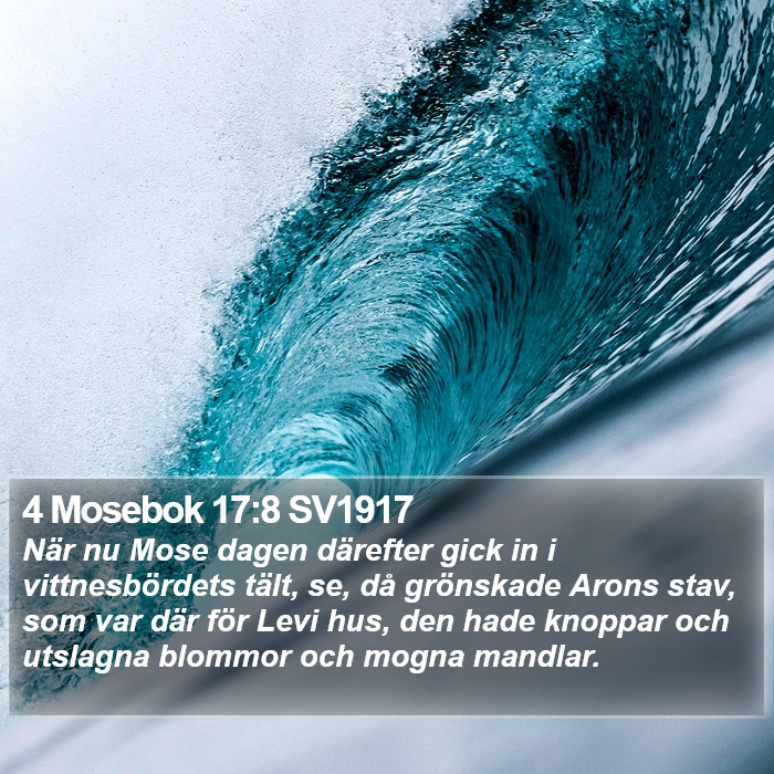 4 Mosebok 17:8 SV1917 Bible Study