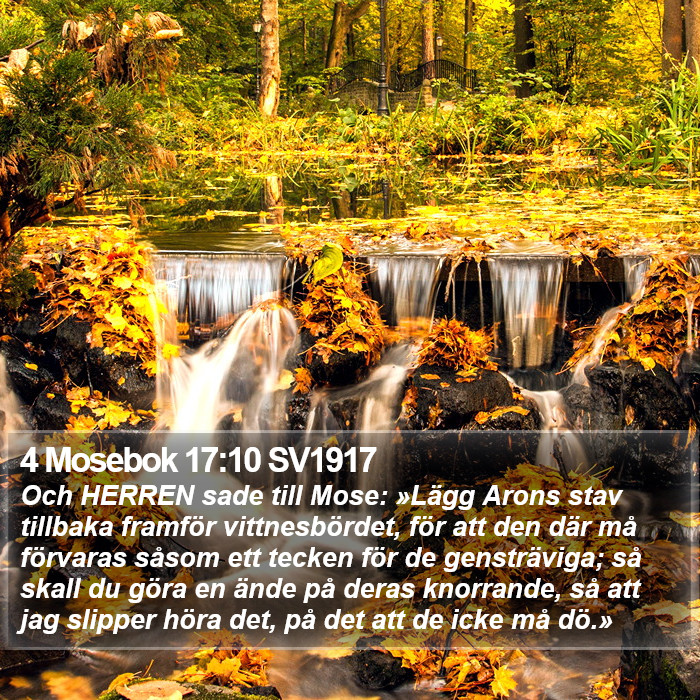 4 Mosebok 17:10 SV1917 Bible Study