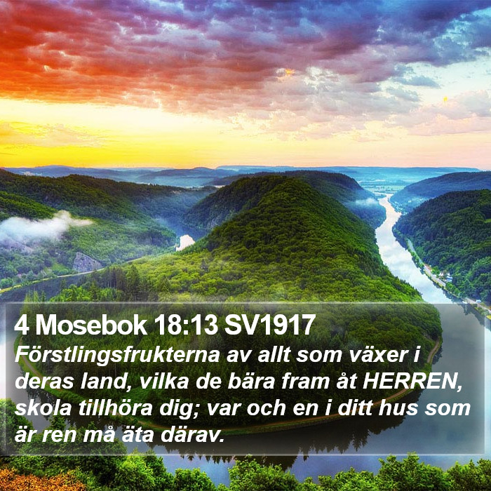 4 Mosebok 18:13 SV1917 Bible Study