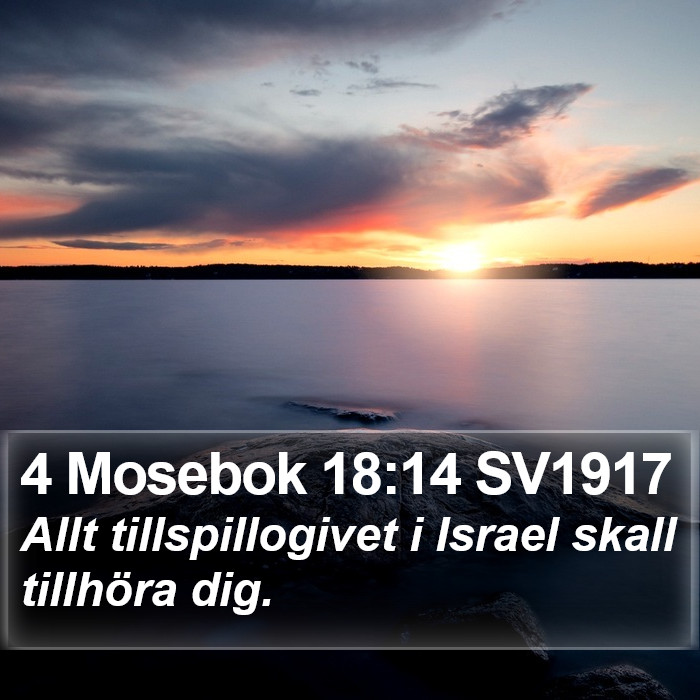 4 Mosebok 18:14 SV1917 Bible Study