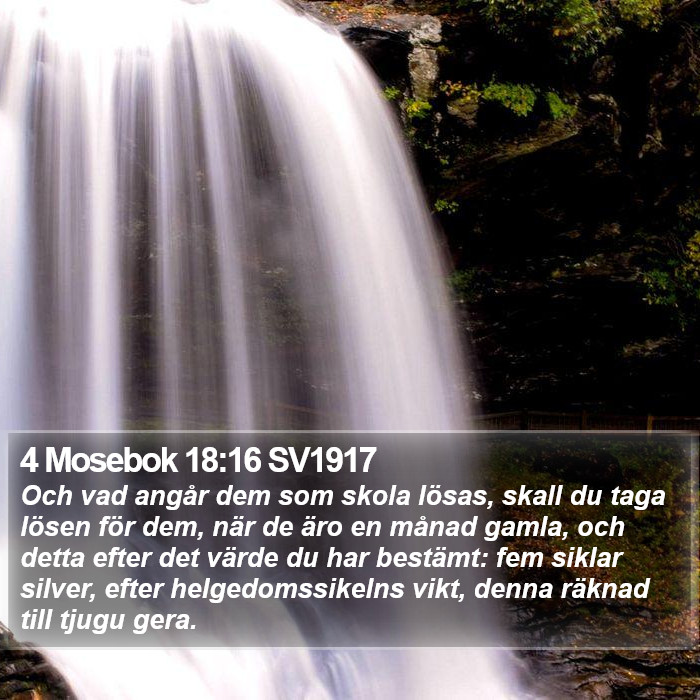 4 Mosebok 18:16 SV1917 Bible Study