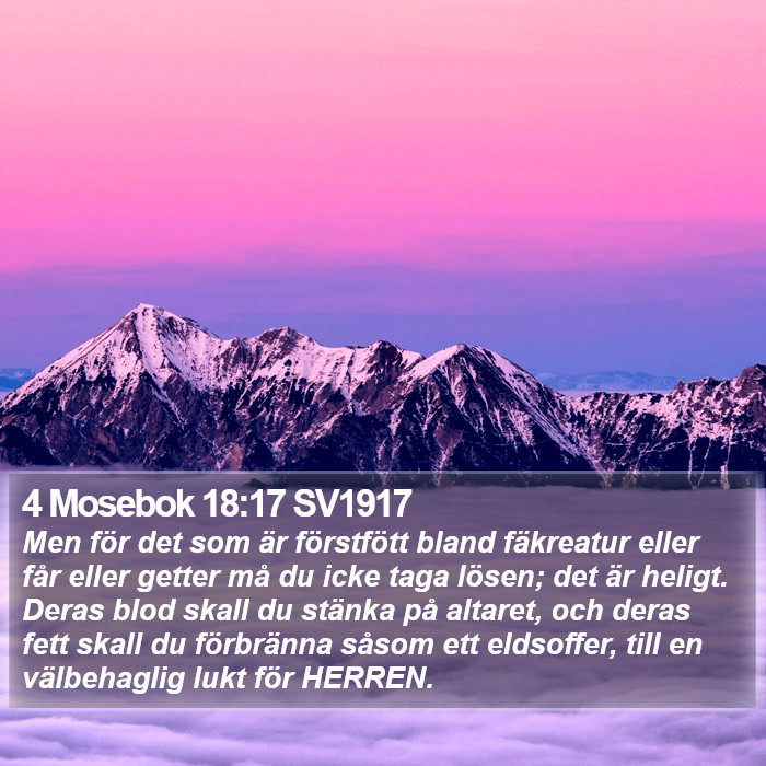 4 Mosebok 18:17 SV1917 Bible Study