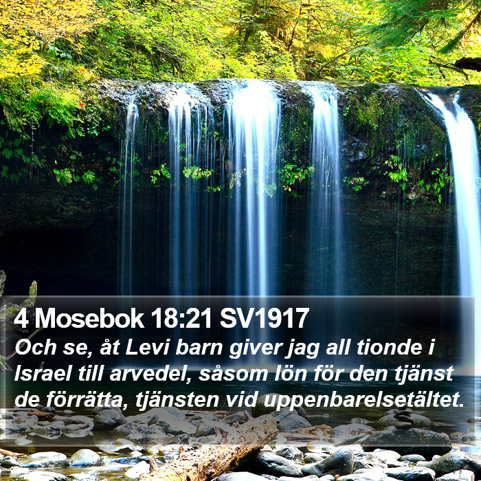 4 Mosebok 18:21 SV1917 Bible Study