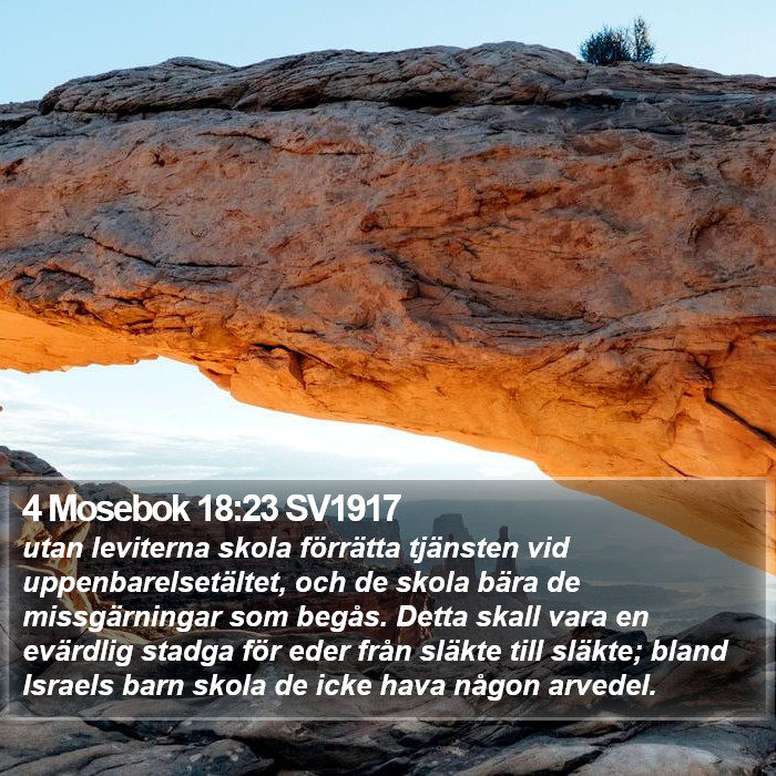4 Mosebok 18:23 SV1917 Bible Study