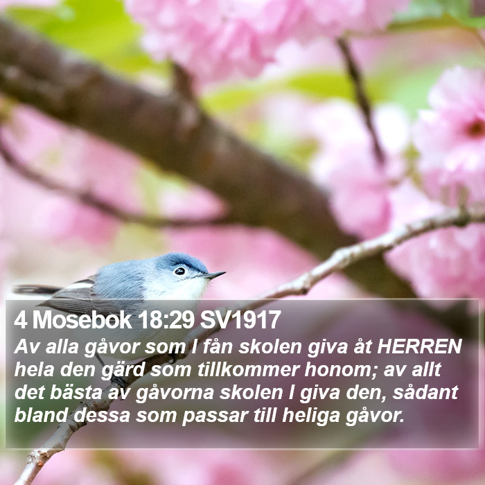 4 Mosebok 18:29 SV1917 Bible Study