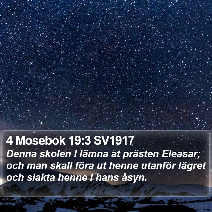 4 Mosebok 19:3 SV1917 Bible Study