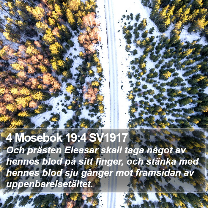 4 Mosebok 19:4 SV1917 Bible Study