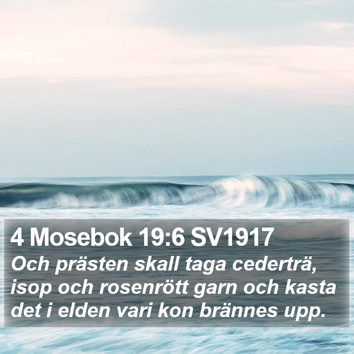 4 Mosebok 19:6 SV1917 Bible Study