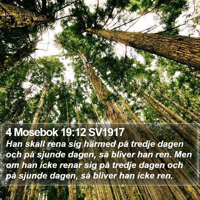 4 Mosebok 19:12 SV1917 Bible Study